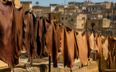 How Moroccan Leather Is Made in Fes | Traditional Tanning Process Explained