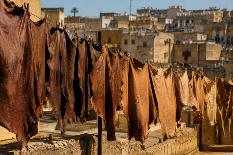 How Moroccan Leather Is Made in Fes | Traditional Tanning Process Explained